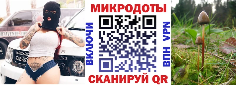 Купить где  Заринск  Галлюциногенные грибы прущие грибы 